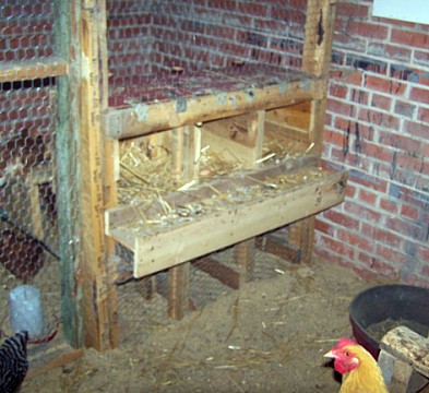 100_1549_nesting_box_front.jpg