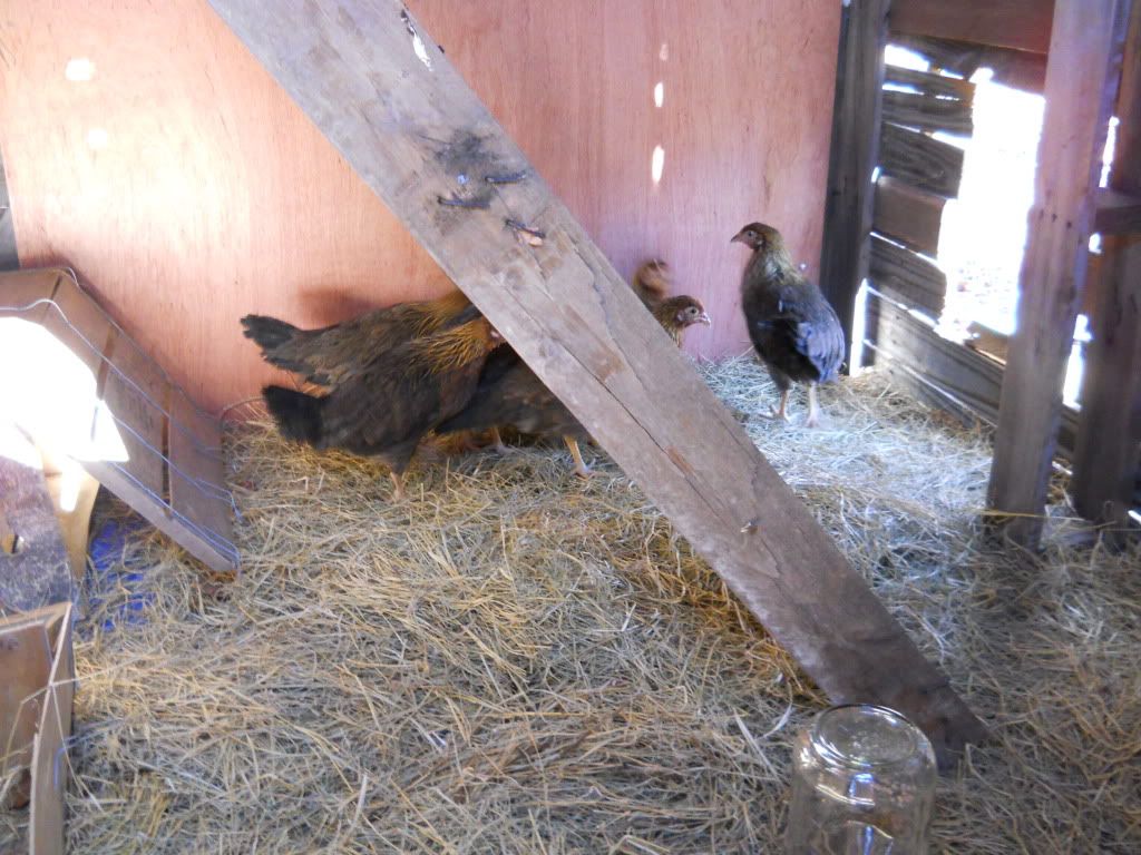 Picture045.jpg