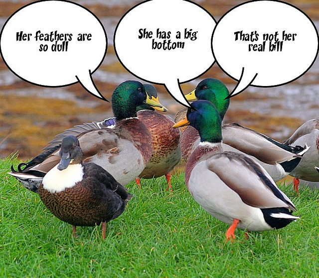funny+jokes.jpg