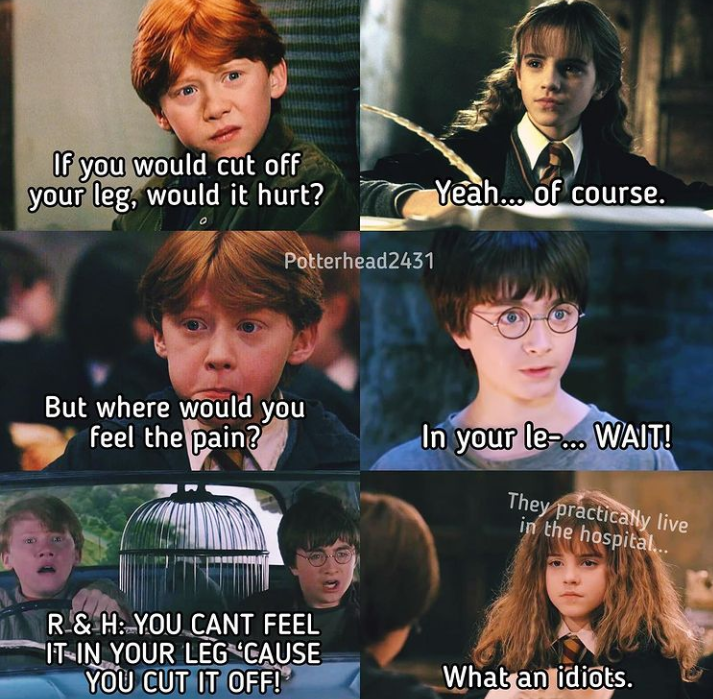 Harry Potter memes, ladies and gentlemen. : 4PanelCringe