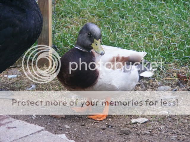 Picture021.jpg
