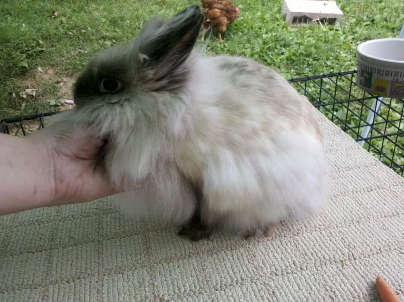 2011-06-28_18-58-02_411.jpg