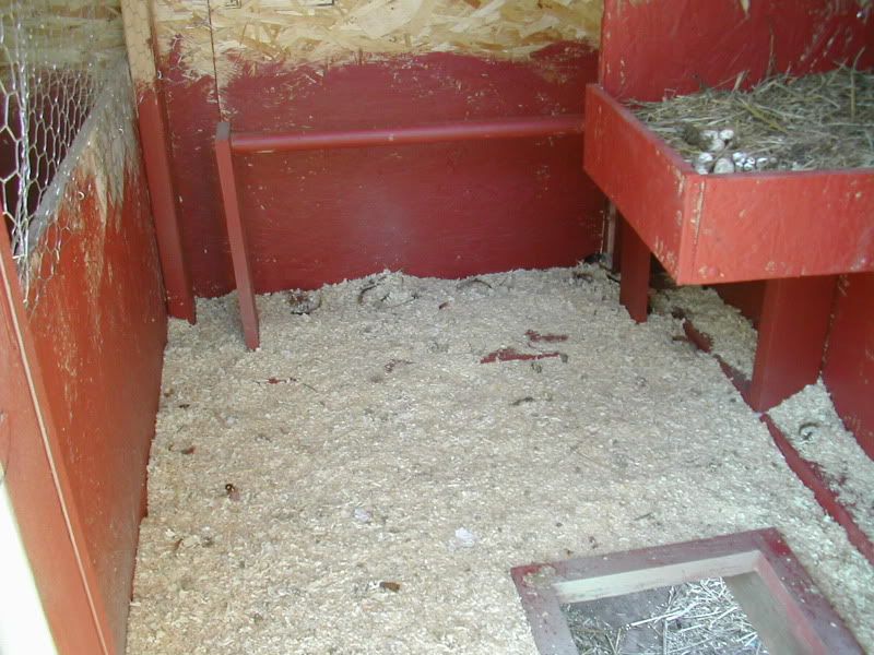 DSCN5340.jpg