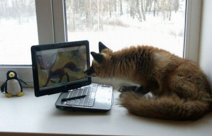 acid_picdump_17.jpg