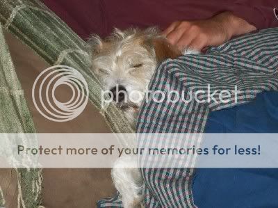 jacksnoozing-1.jpg
