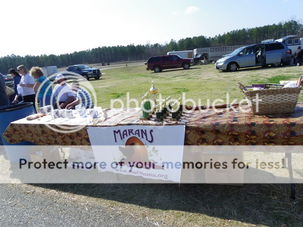 IMGP1034.jpg