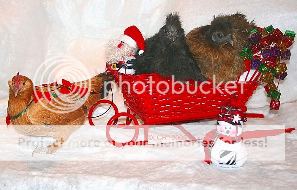luckyxmas.jpg