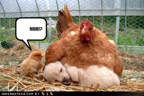 momwchick.jpg