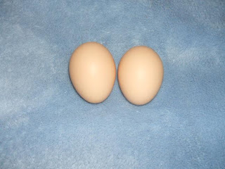 DSCF4235.JPG