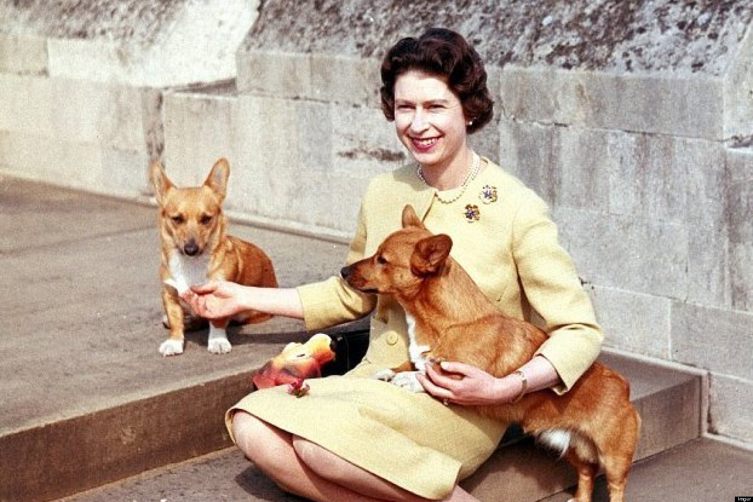 o-THE-QUEENS-CORGIS-PHOTOS-facebook.jpg