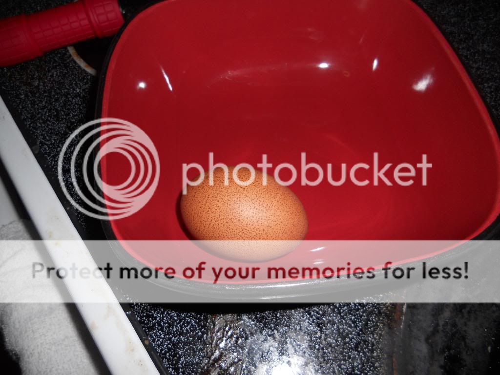 eggdeath009.jpg