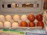 JJ-BCMeggs.jpg