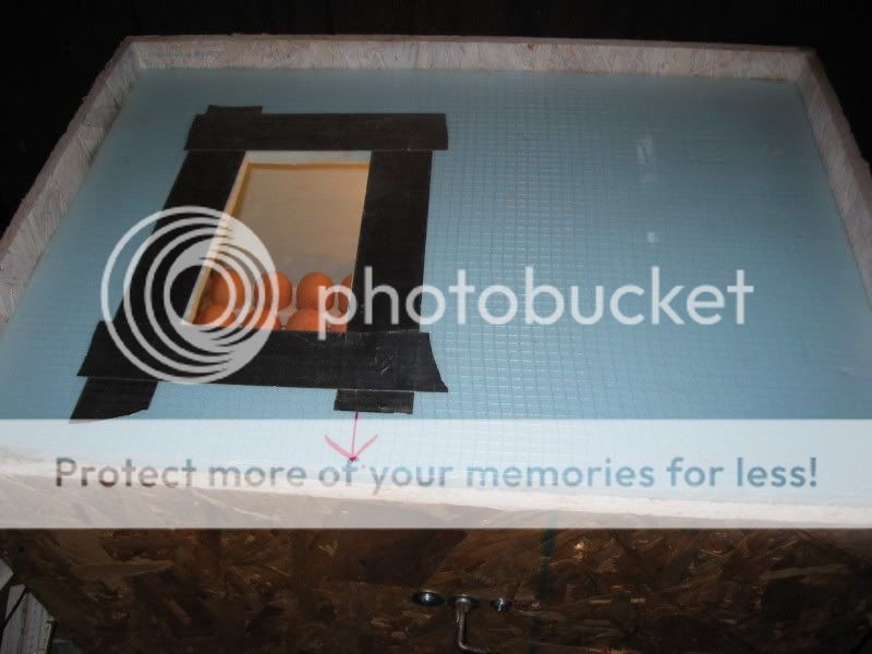 January2008034.jpg