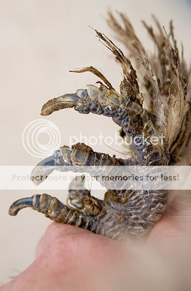 SplashDec23099373LR.jpg