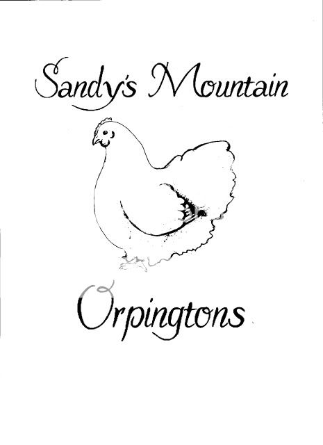 orpington001-1.jpg