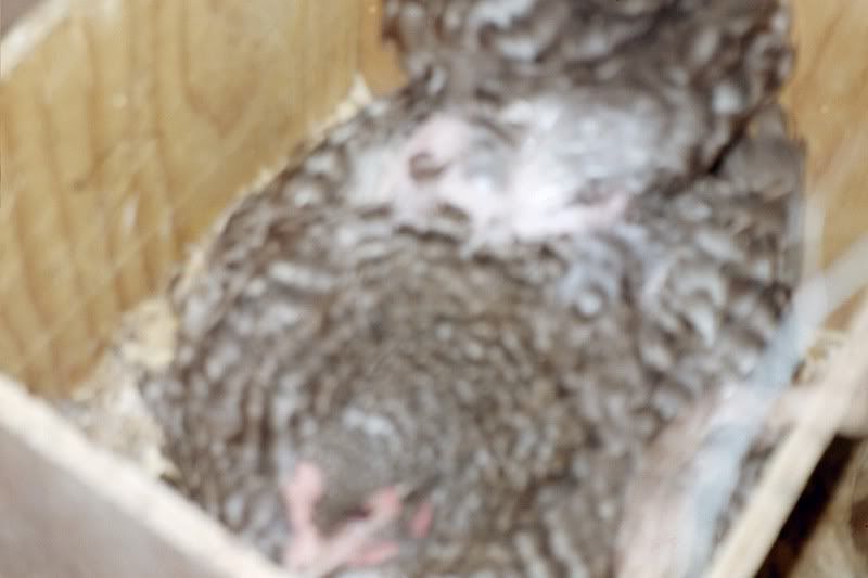 IMG014.jpg