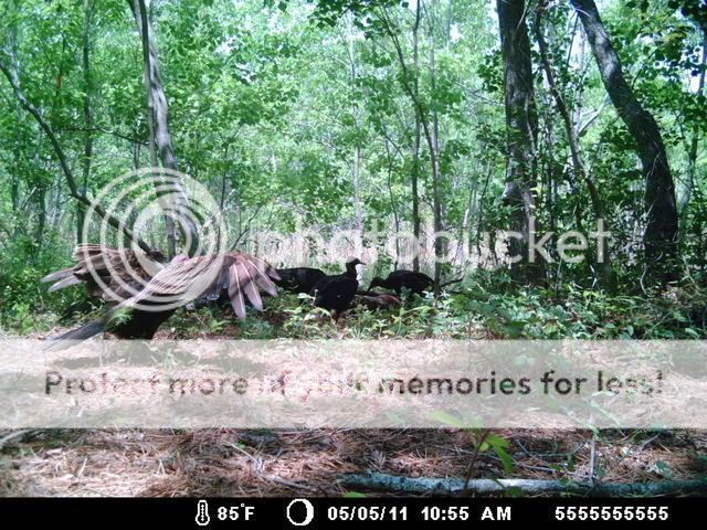 MDGC0399.jpg