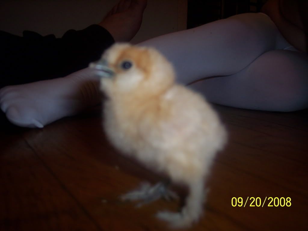 Picture126.jpg