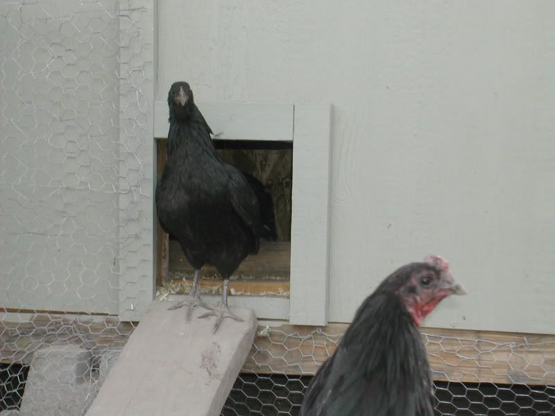 DSCN3167.jpg