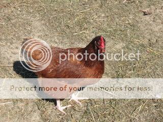 IMG_0364.jpg
