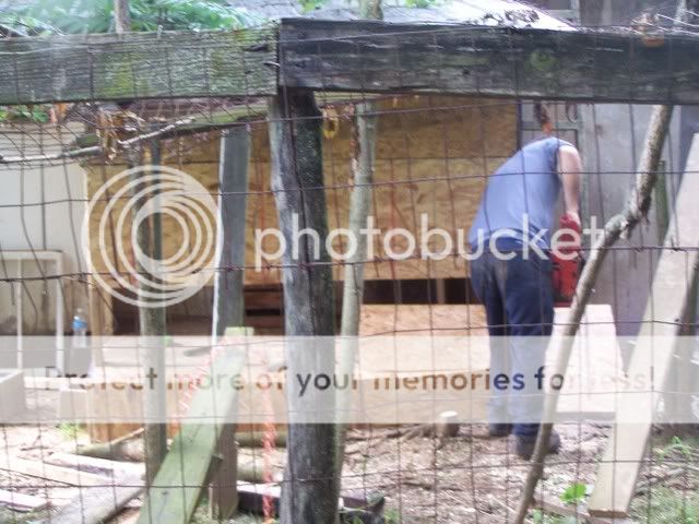 100_3175.jpg
