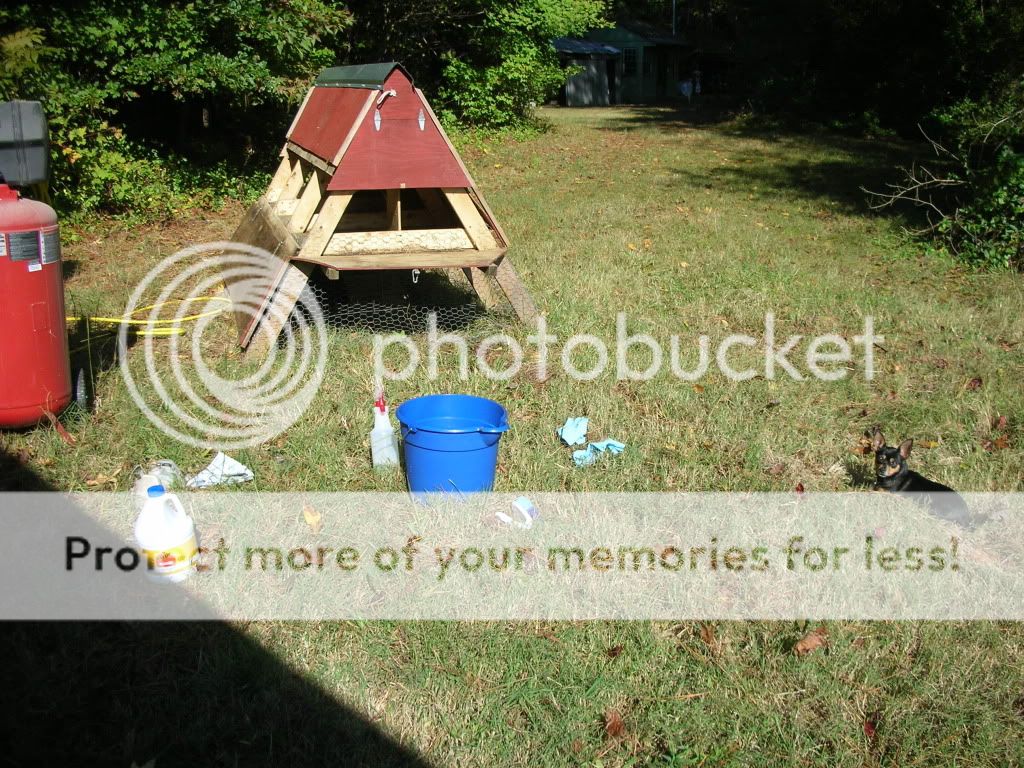 DSCN0548.jpg