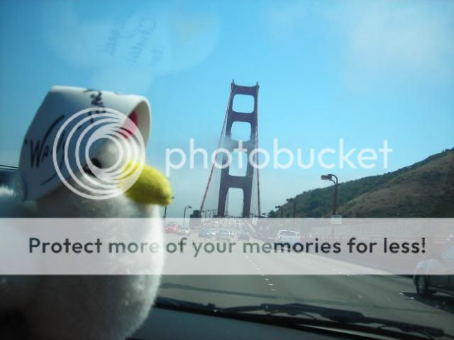 DSCN3693.jpg