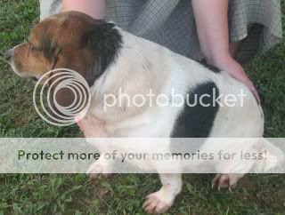 pups200016.jpg