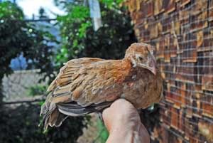 DSC_0208_edited-2.jpg