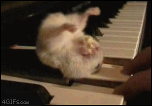 tumblr_n3j29vlWhu1sji7f2o1_400.gif