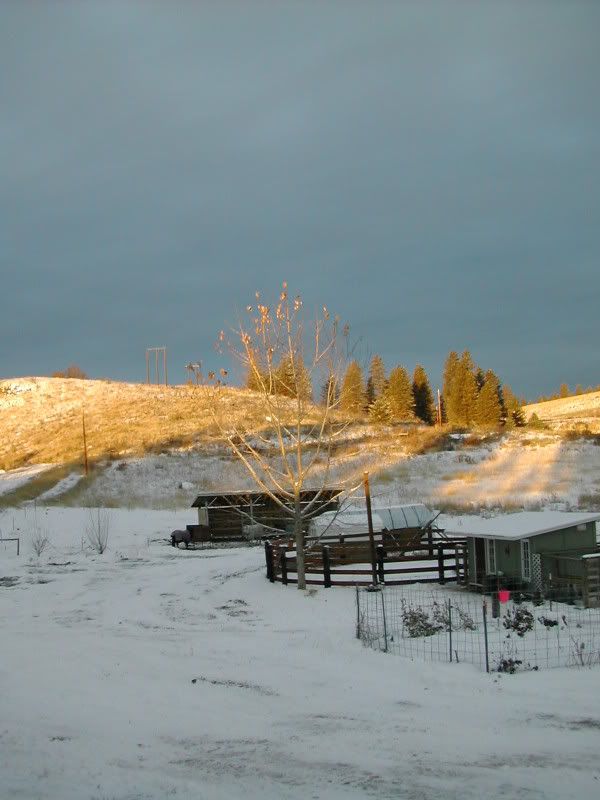 DSCN4987.jpg