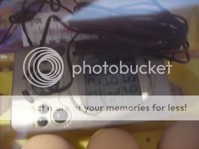 DSCN1846.jpg