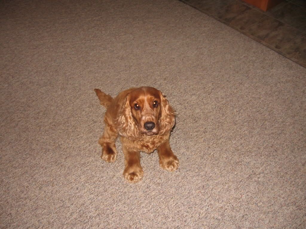 4-12-08180.jpg