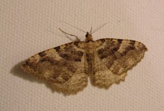 2513860285_9672c9ba44_m.jpg