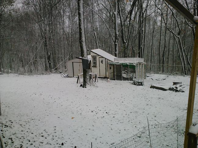 200x200px-ZC-ece60462_Sandysnow.jpeg