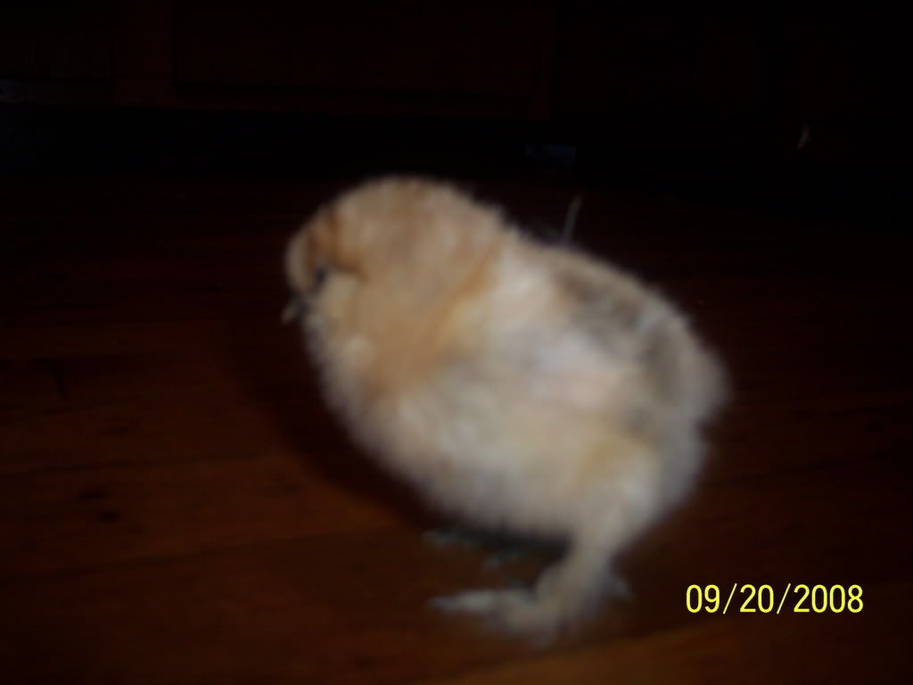 Picture124.jpg