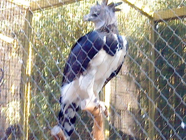 DSC08443.jpg