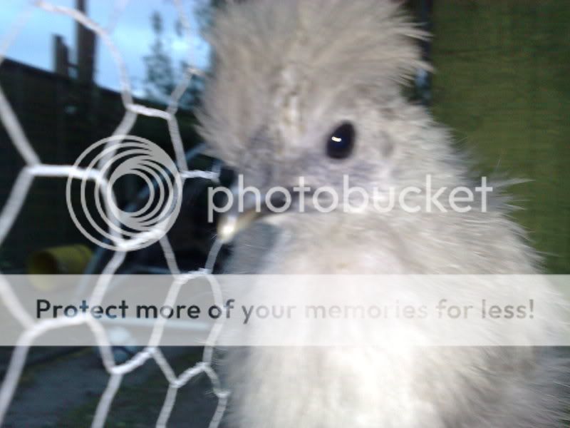 13052008834.jpg