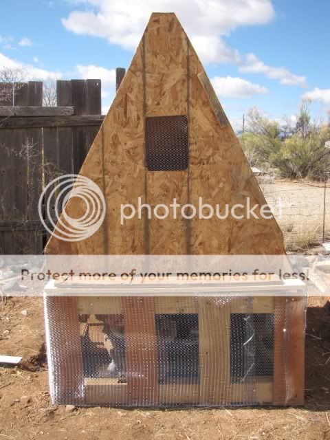 moree003.jpg