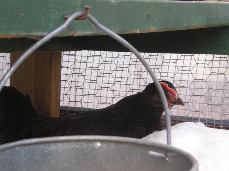 DSCN0906.jpg