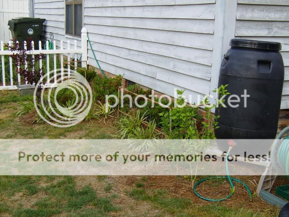 HPIM8891.jpg
