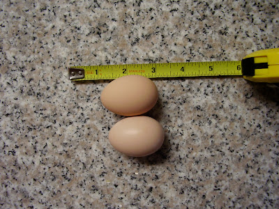 P5210003.JPG