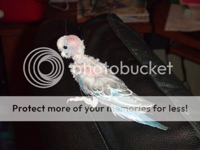 DSCF1061.jpg