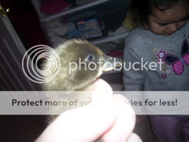 100_2567.jpg