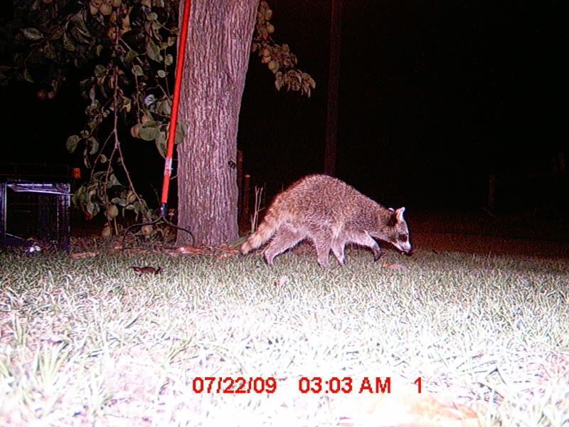 MDGC0010-2.jpg