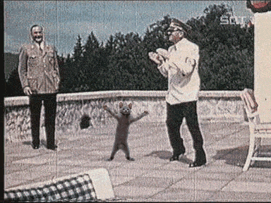 dancing-hitler.gif