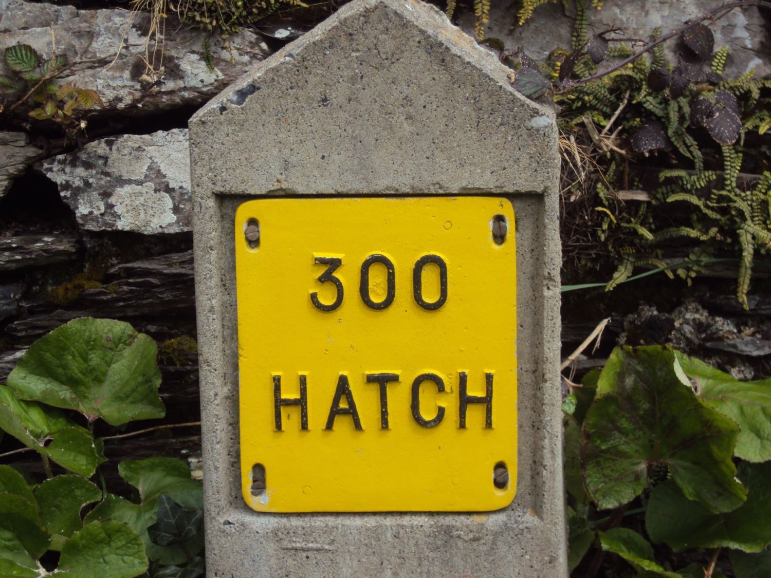 900x900px-LL-cf5d0237_300hatch.jpeg