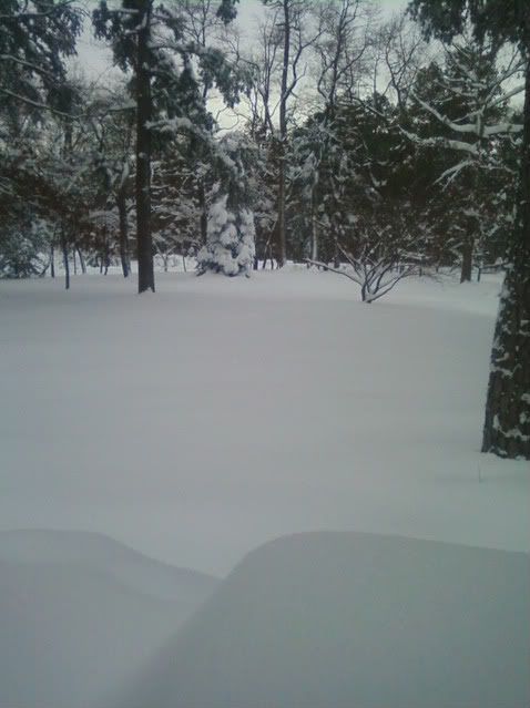 frontdoor2009blizzard-1.jpg