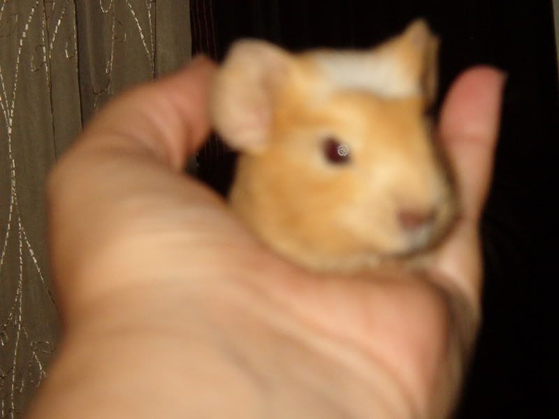 IM001869.jpg