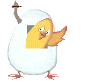 Chick_hatches.gif